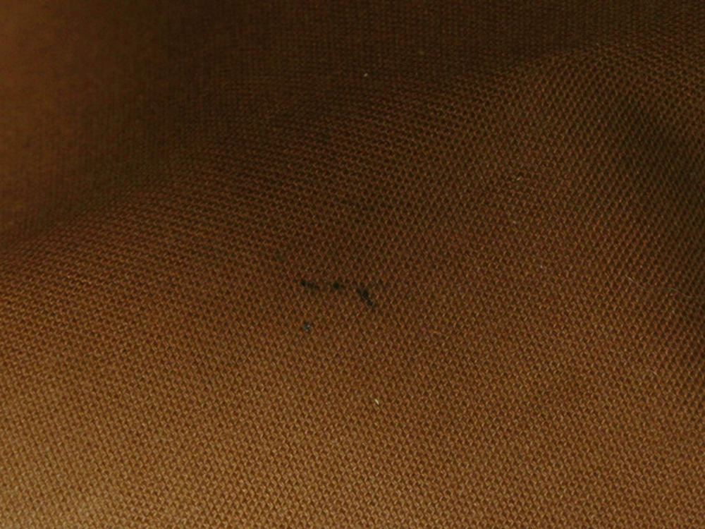 Louis Vuitton Monogram Speedy - Picture 7 of 9